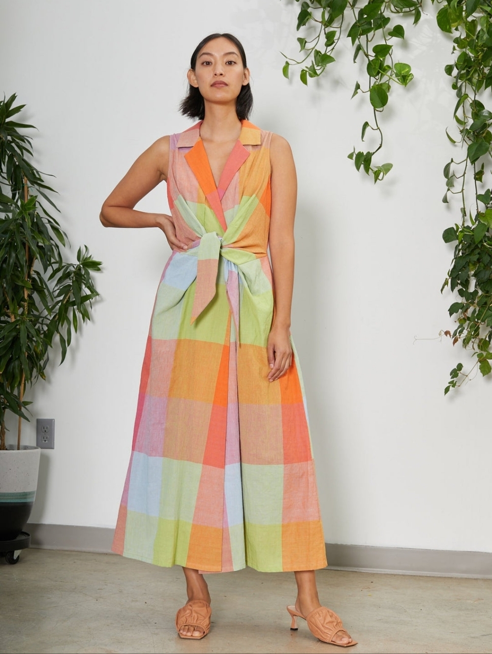 Rujuta Sheth Emily Dress Jupiter Chex Large